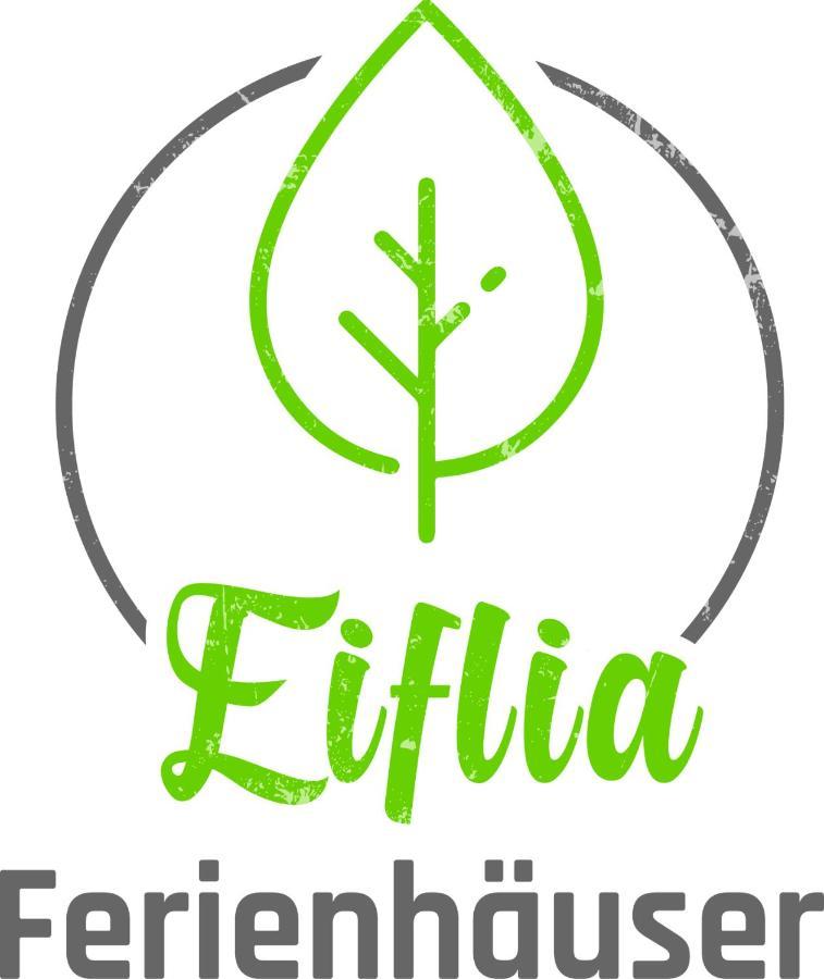 ビューリンゲン Eiflia- Im Warchetalヴィラ エクステリア 写真